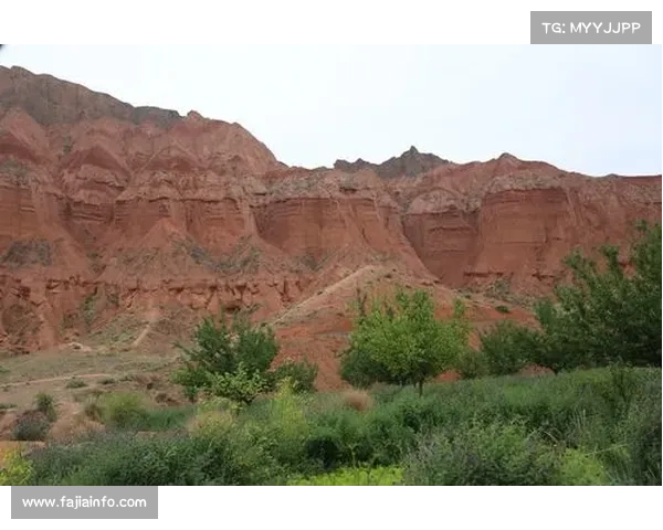 二番战因医疗原因延期至明年春季再度开战