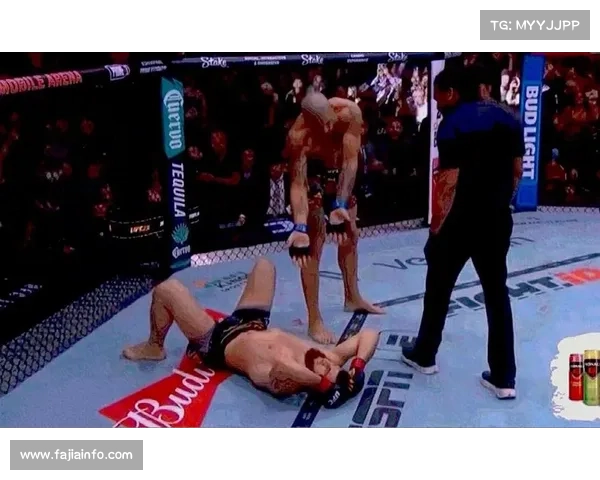 UFC 320轻重量级冠军二番战，安卡拉耶夫对阵佩雷拉